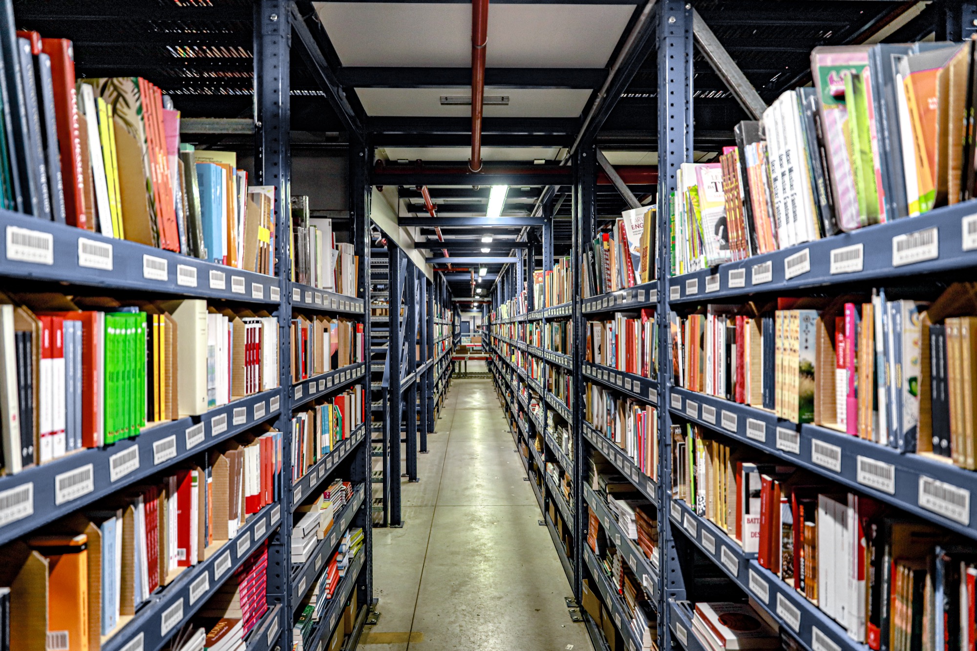 shelving-inside-a-logistics-warehouse-for-book-sto-2025-01-08-03-39-26-utc